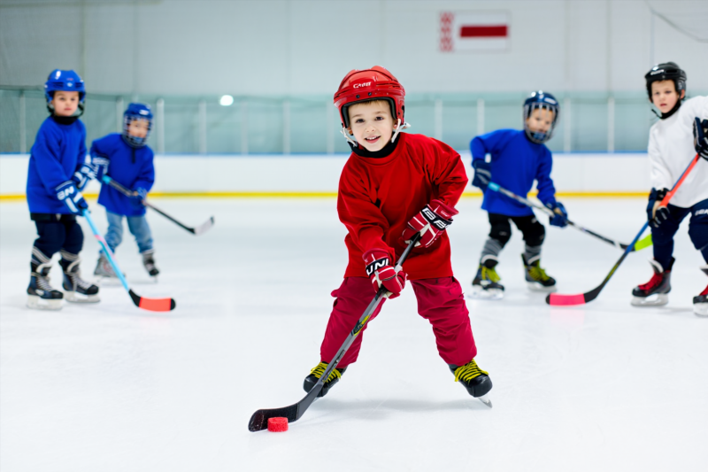 8a21e5567286867539ae97621e39a446